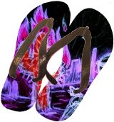 Flip Flops