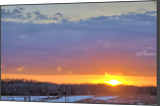 Metal Print