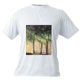Mens T-shirt