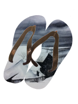 Flip Flops