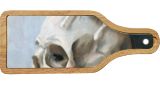 Moth and Bone: Study on White, Paintings, Fine Art, Realism, Still Life, Oil, Painting, By Rebecca Suzanne Magar