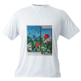 Mens T-shirt
