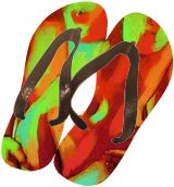 Flip Flops