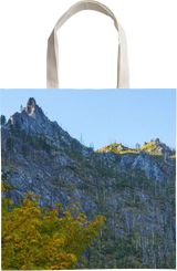 Shopping Tote Bag
