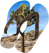 Flip Flops