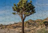 Rectangular Shaped Gloss Hardboard Jigsaw Puzzle