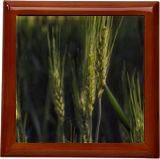 Gift Box With Ceramic Tile