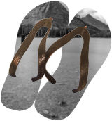 Flip Flops