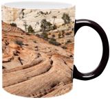 Magic Color Changing Mug