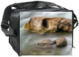 Cooler Bag