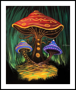 Paper/Poster Print