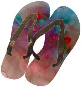 Flip Flops