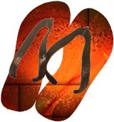 Flip Flops