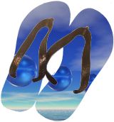 Flip Flops