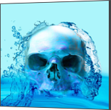 Metal Print