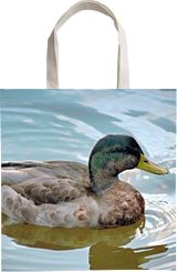 Shopping Tote Bag