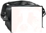 Cooler Bag