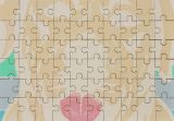 Rectangular Shaped Gloss Hardboard Jigsaw Puzzle
