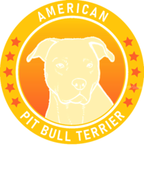 American Pit Bull Terrier<br>American Pit Bull Terrier Dog<br>Portrait, Digital Art / Computer Art, Abstract, Animals, Digital, By MAX ART