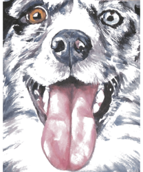 Australian Shepherd Australian<br>Shepherd Fine Art Painting, Digital Art / Computer Art, Abstract, Animals, Digital, By MAX ART