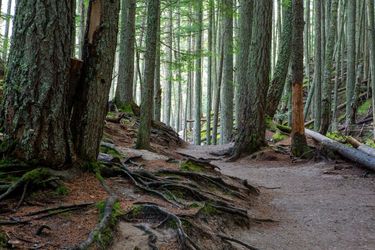 Avalanche Lake Trail, Pastel, Realism, Landscape, Digital, By Mike DeCesare