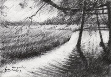 Haagse Bos - 10-05-19, Drawings / Sketch, Fine Art,Impressionism,Realism, Composition,Figurative,Inspirational,Nature, Pencil, By Corne Akkers