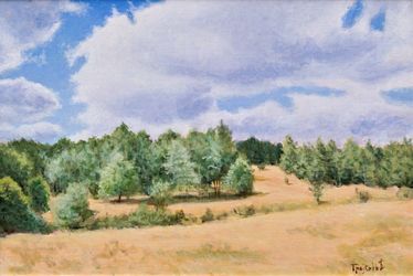Mountain Meadow, Paintings, Fine Art,Impressionism,Realism, Landscape,Nature, Acrylic,Wood, By Dejan Trajkovic
