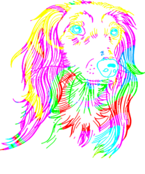 Saluki Saluki Dog Colorful<br>Gift, Digital Art / Computer Art, Abstract, Animals, Digital, By MAX ART