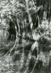 The Hague forest - 23-06-15, Drawings / Sketch, Fine Art,Impressionism,Realism,Surrealism, Composition,Figurative,Inspirational,Landscape,Nature, Pencil, By Corne Akkers