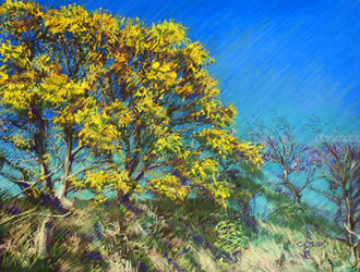 Waalsdorpervlakte – 04-05-21<br>(sold), Drawings / Sketch, Fine Art,Impressionism,Realism, Botanical,Figurative,Floral,Inspirational,Landscape,Nature, Pastel, By Corne Akkers