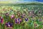 Purple And Blue Poppies, Paintings, Expressionism, Fine Art, Botanical, Landscape, Nature, Oil, By Jane Adrianson